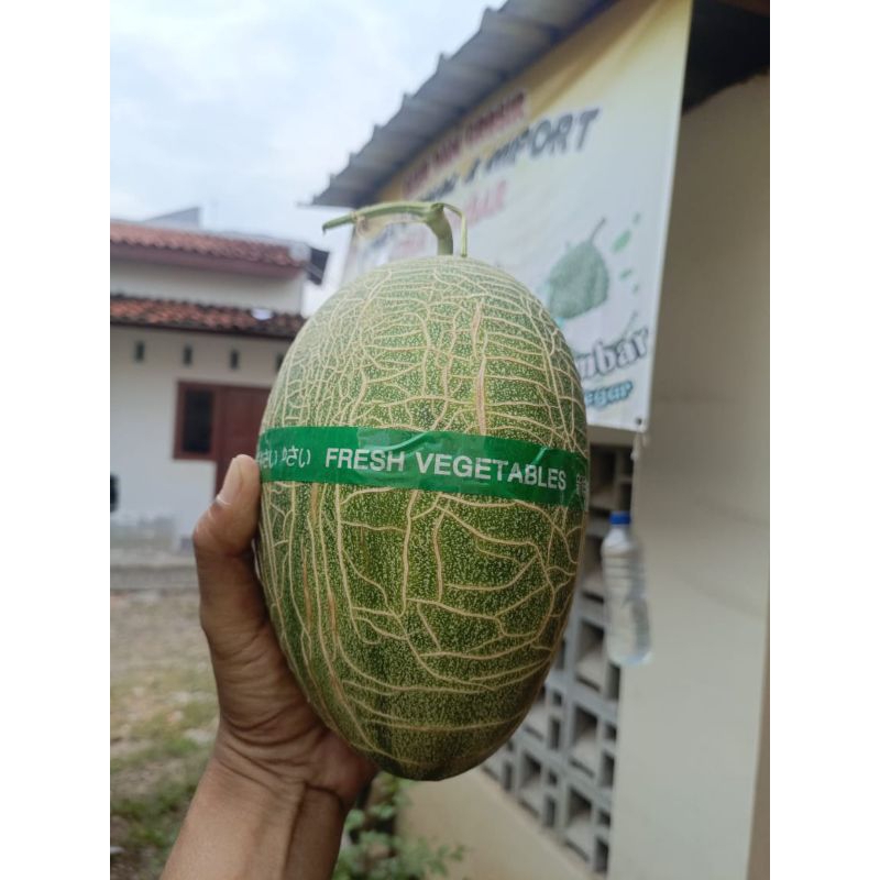 

GROSIR Melon Sweet Hami Premium