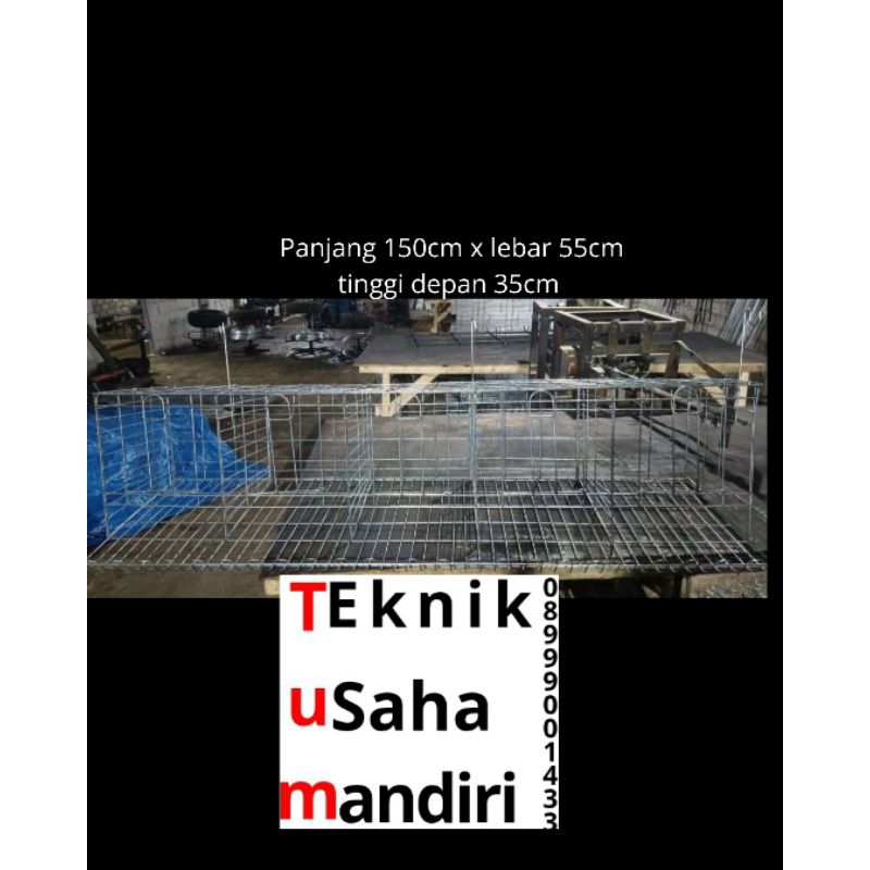 kandang ayam petelur pintu 5 isi 10