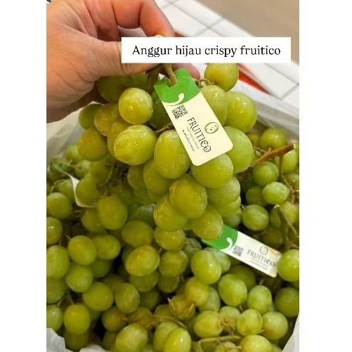 

Anggur Hijau Crispy fruitico