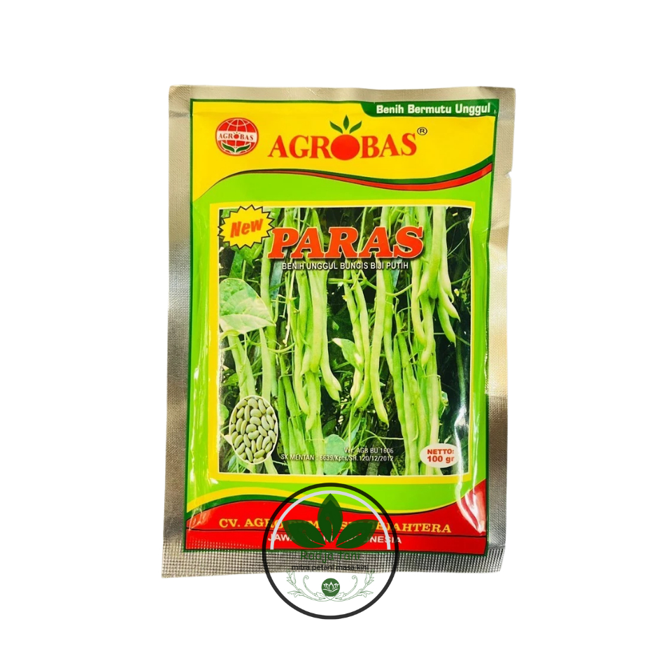 Benih - Benih buncis unggul biji putih PARAS isi 100gr dari AGROBAS (AGROBAS)