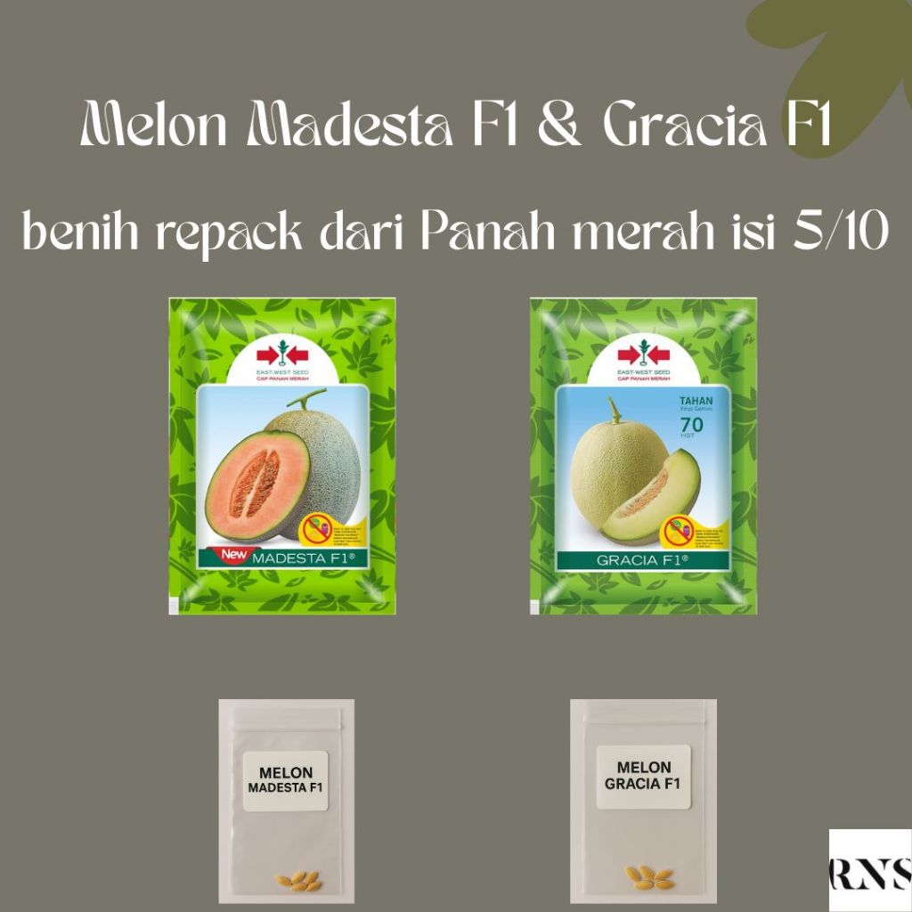 Benih Melon Madesta Gracia | Bibit Melon Manis Tahan Virus Produktif