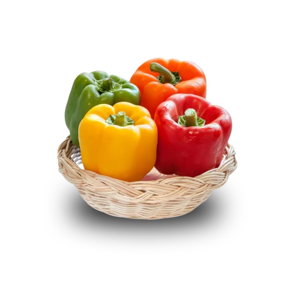 

Paprika Merah, Kuning, dan Hijau 150-200 gr (HARGA PER PCS) – Fresh dan Kaya Nutrisi