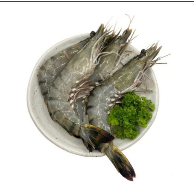 

UDANG TIGER/WINDU FROZEN FRESH PREMIUM SEGAR