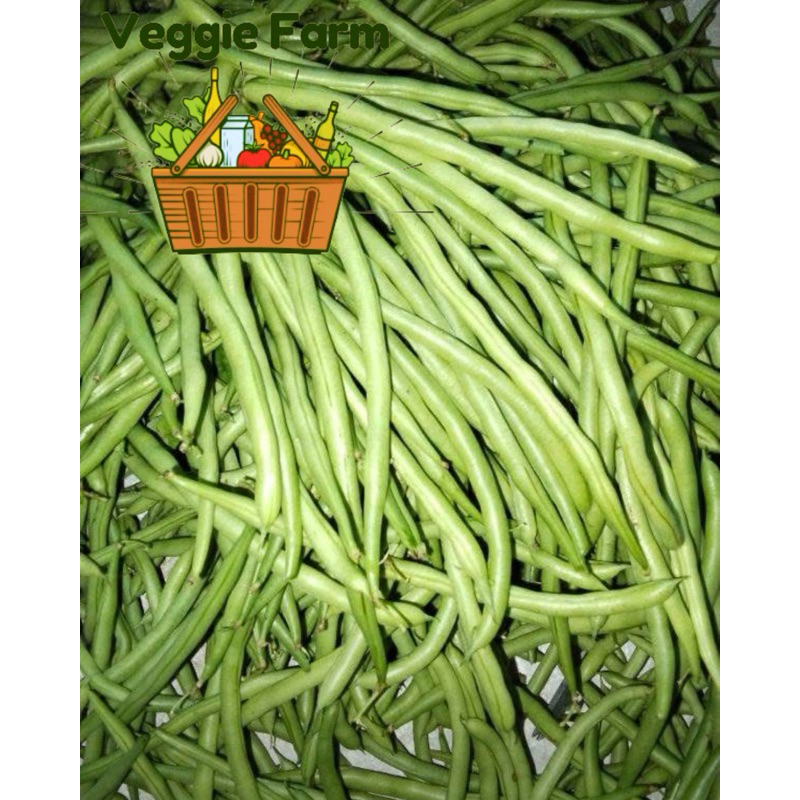 

Veggie Farm - Buncis PALING MURAH