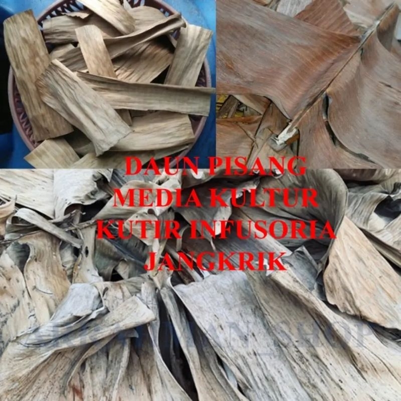 

Daun Pisang Kering 1 Kg