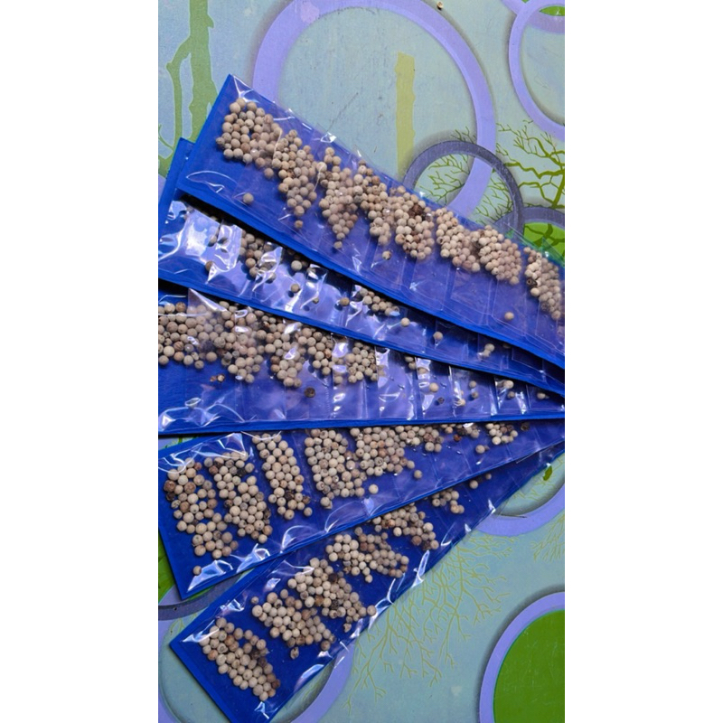 

bumbu rempah lada merica