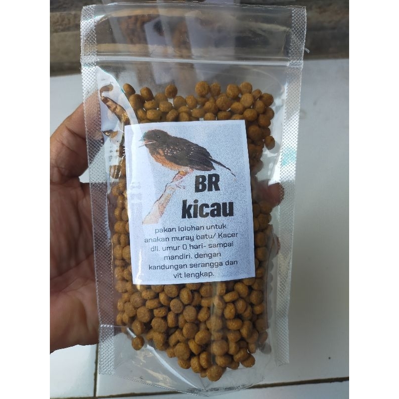 pakan / makanan untuk anakan murai batu