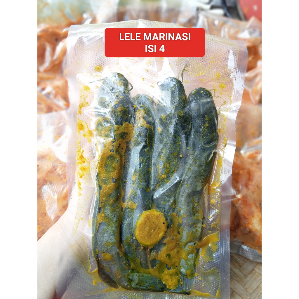 

Ikan Lele Marinasi Ukuran Sedang Siap Goreng Isi 4