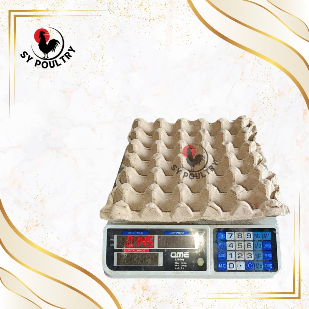 EggTray / Wadah Telur Ayam & Puyuh / Tempat Telur Ayam & Puyuh Kertas