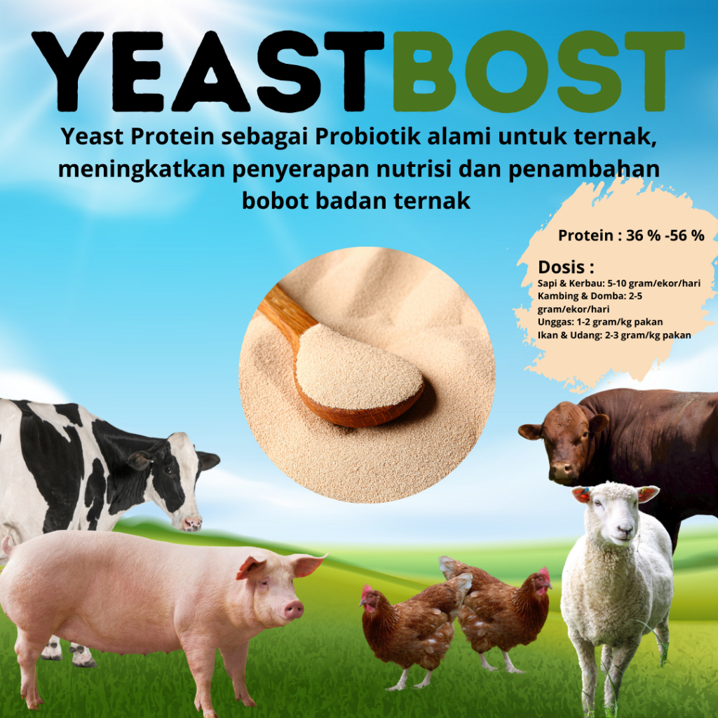 YeastBost Feed Grade 1KG– Yeast Protein untuk Ternak, Meningkatkan Memacu & Pertumbuhan