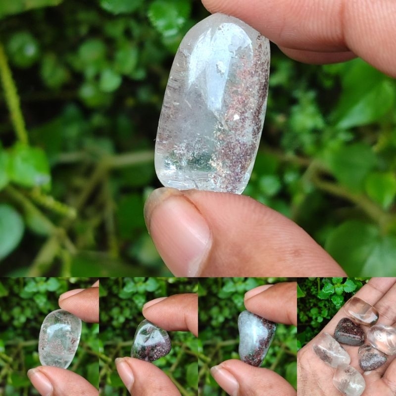 Kecubung karang merah / Kecubung karang/ Kinyang karang