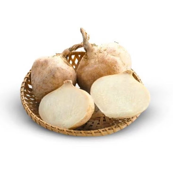 

BENGKUANG 1KG SEGAR BERKUALITAS PREMIUM | BENGKOANG SEGAR 1KG PREMIUM QUALITY