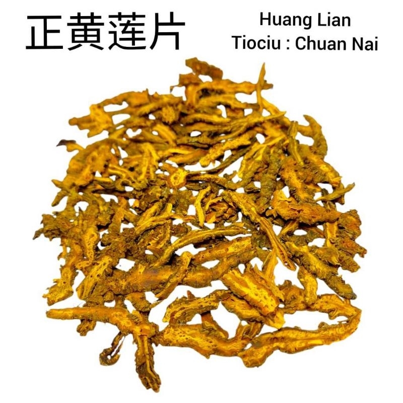 

Huang Lian Pian/Coptis Chinensis