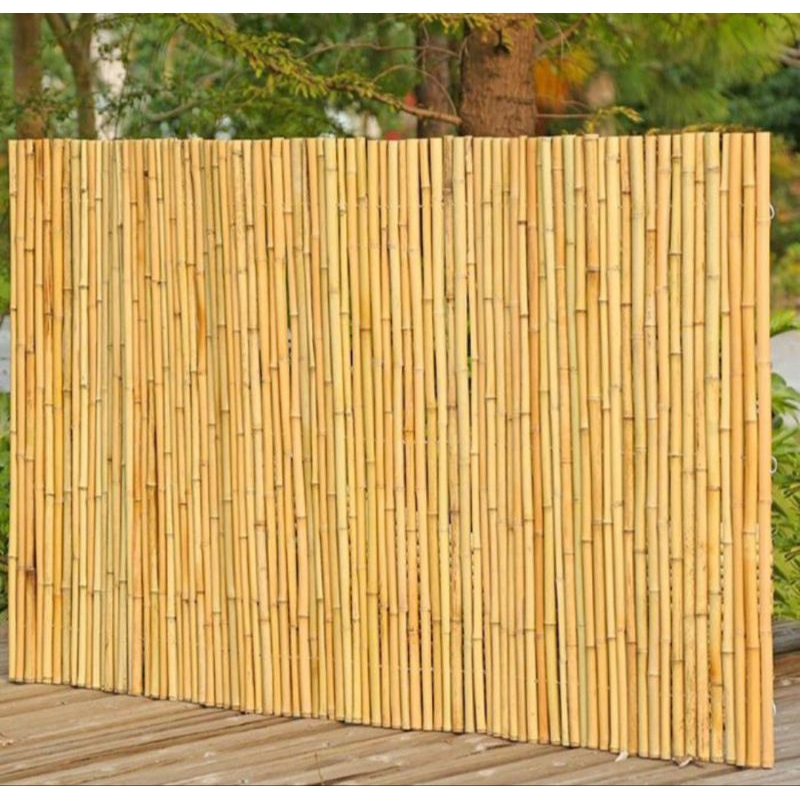 Bambu Cendani / Tongkat Bambu Pramuka / Tongkat Bambu Cendani