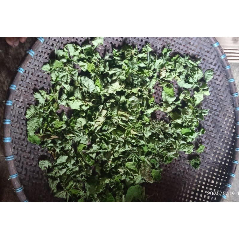 

daun pegagan / antanan kering 100 gr