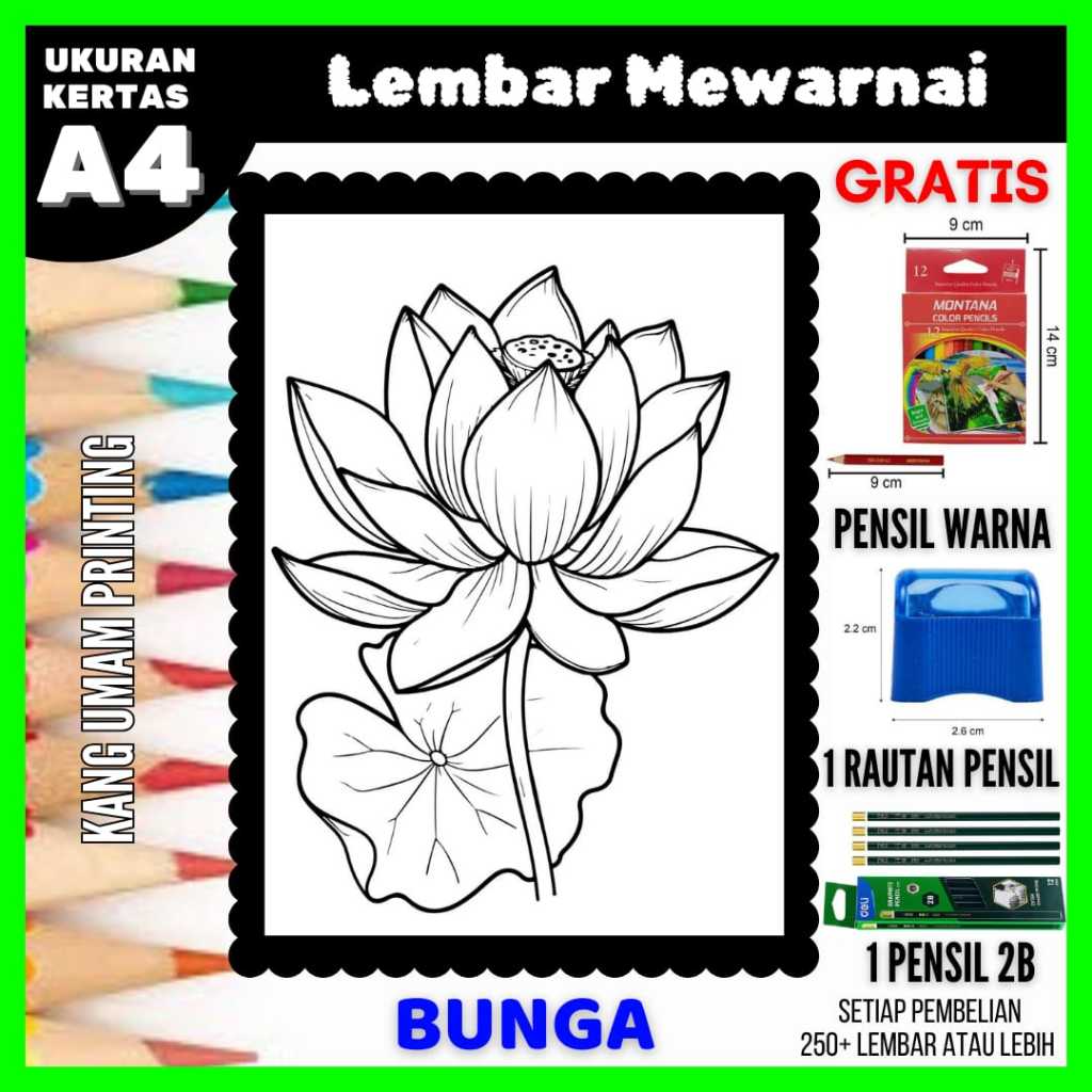 

Lembar Mewarnai Gambar Berbagai Macam Bunga Semua Usia Bagian 04, Sketsa , Kertas Mewarnai , Drawing