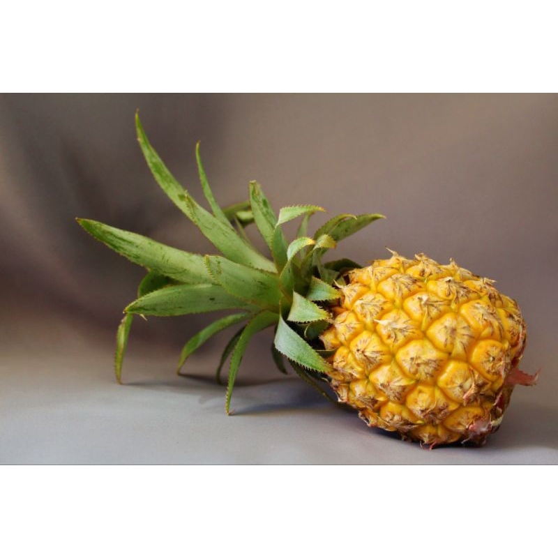 

Buah Nanas Ukuran Grade A 4pcs Fresh Langsung Petik Dari Kebun