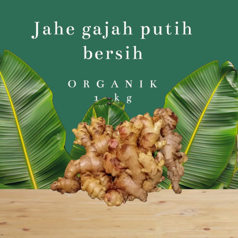 

Jahe gajah putih bersih organik 1 kg
