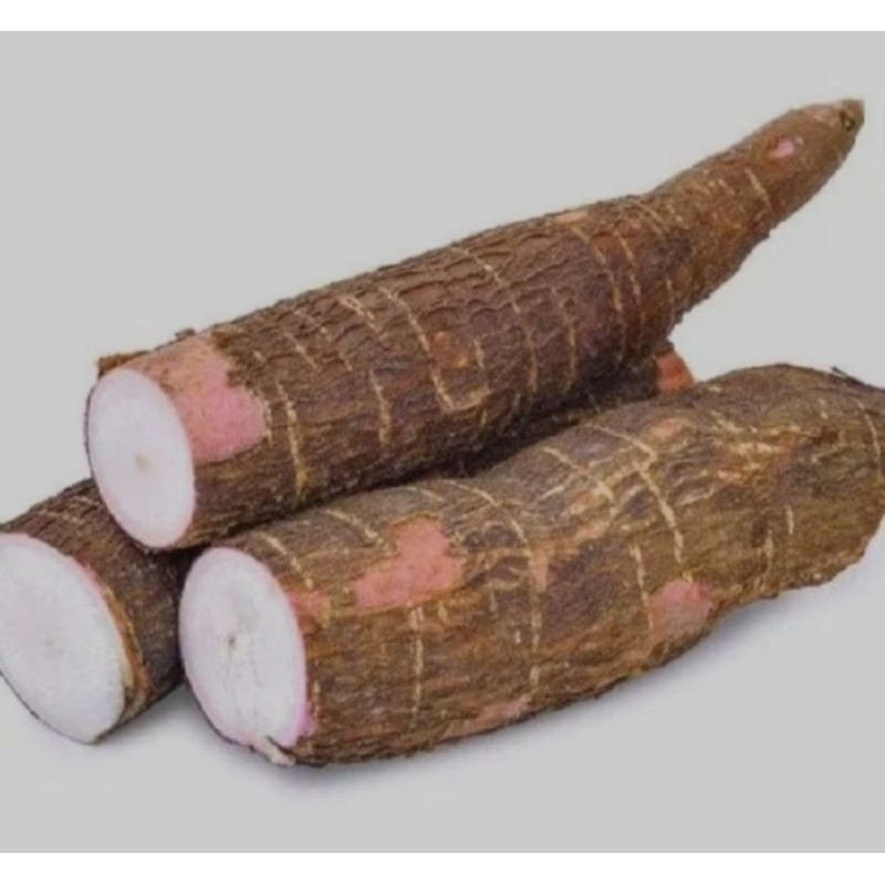 

singkong mentega/singkong gurih pulen/isi 500gr redii siap kirim