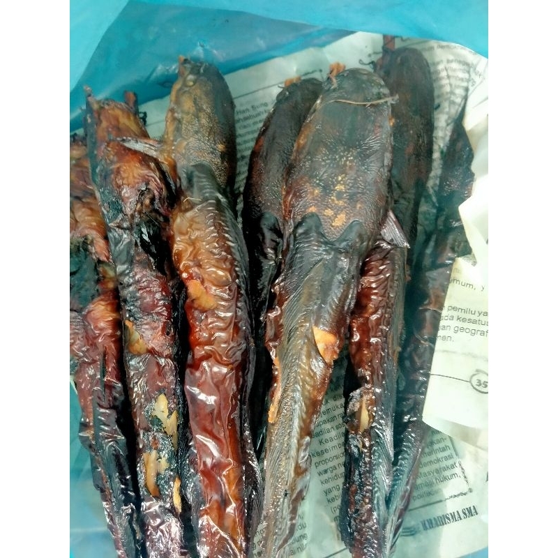 

ikan lele asap vacum