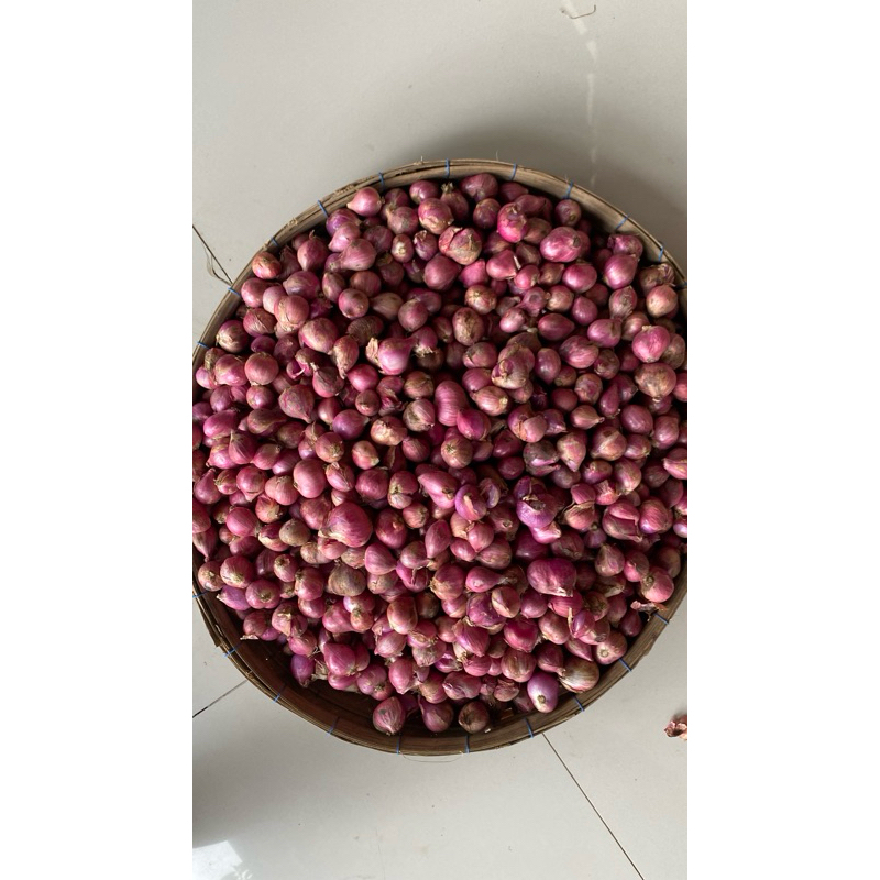 

bawang merah