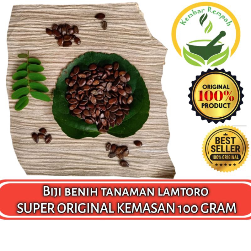 BIJI BENIH TANAMAN LAMTORO SUPER ORIGINAL KEMASAN 100 GRAM