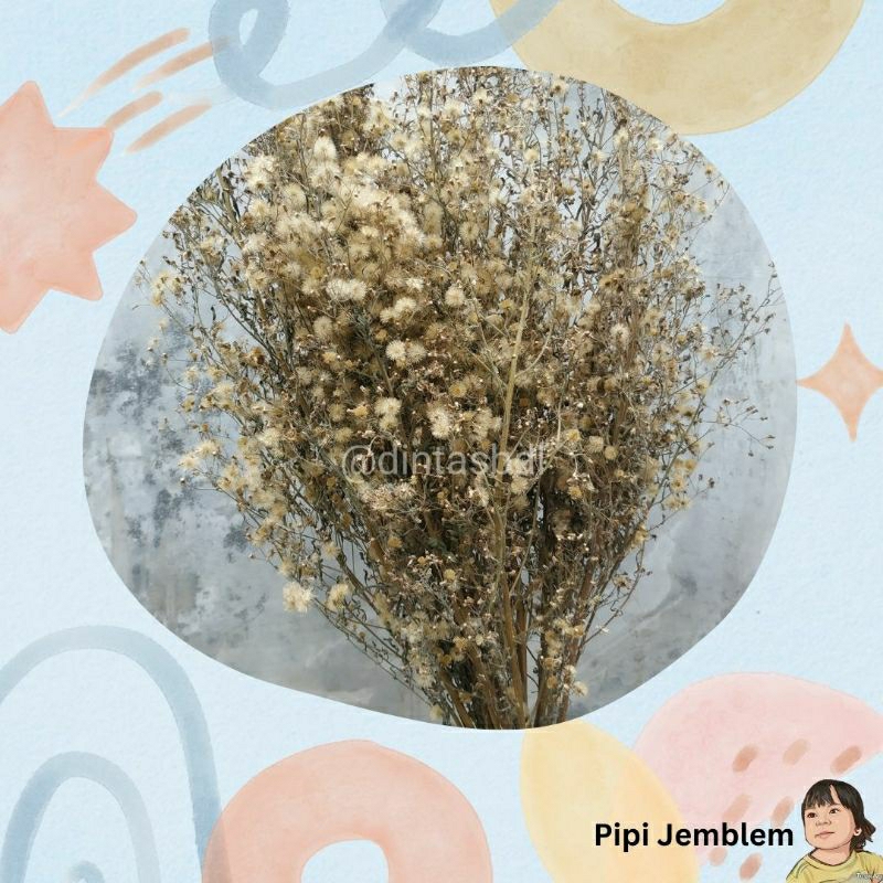 bunga kering (ikat besar) dried golden dandelion hiasan dekorasi rustik