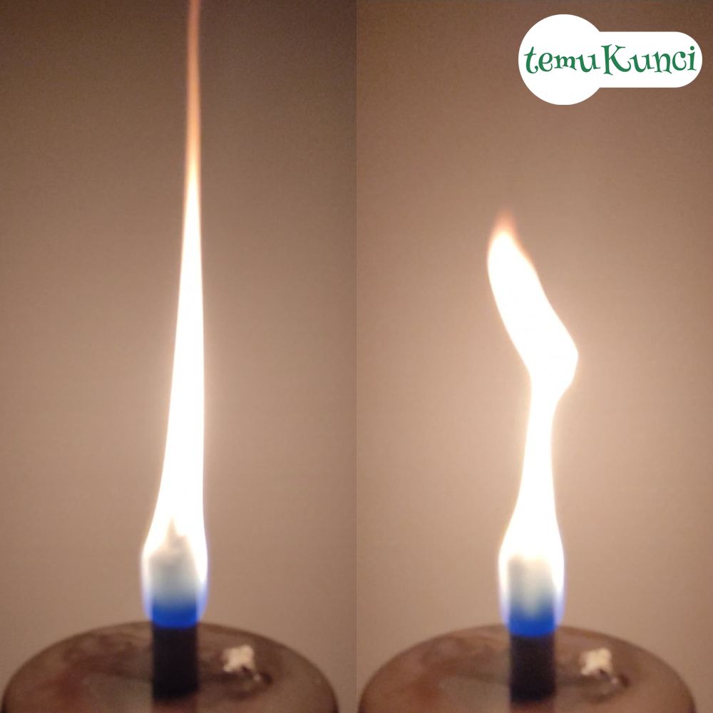 Fire Starter Wood / Firestarter Wood / BBQ Camping Api Kayu Bakar SURVIVAL ~ Pemantik Api  Kayu