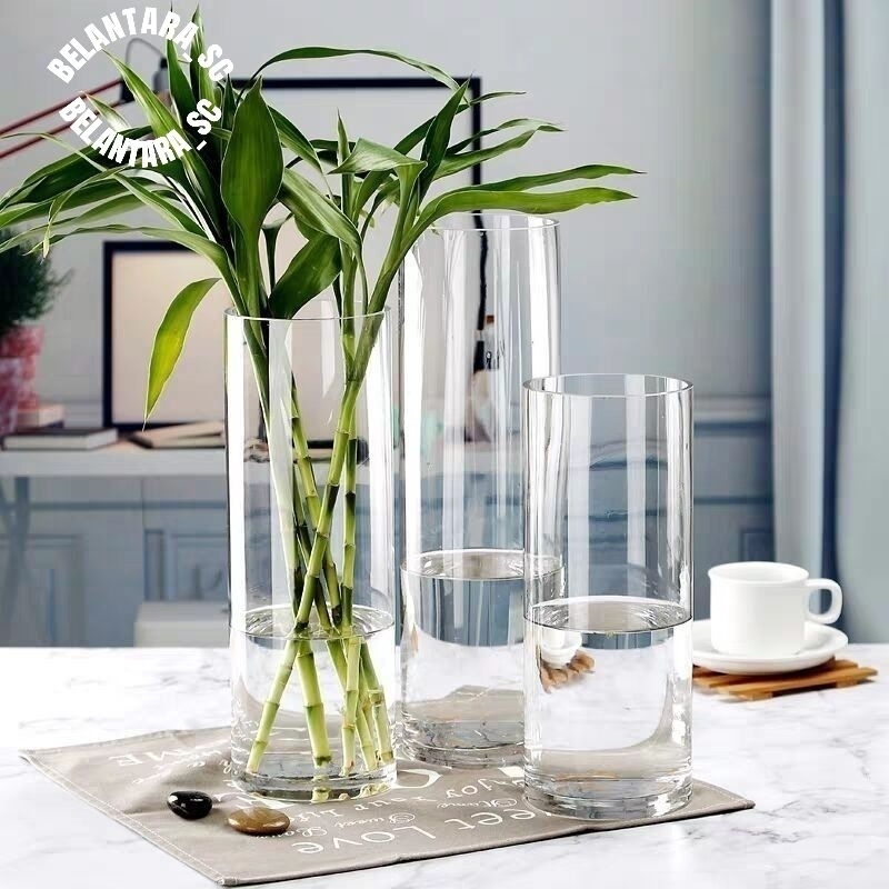 Media air aquarium Aquascape -Bambu Hoki Sri rejeki-Tanaman Hias