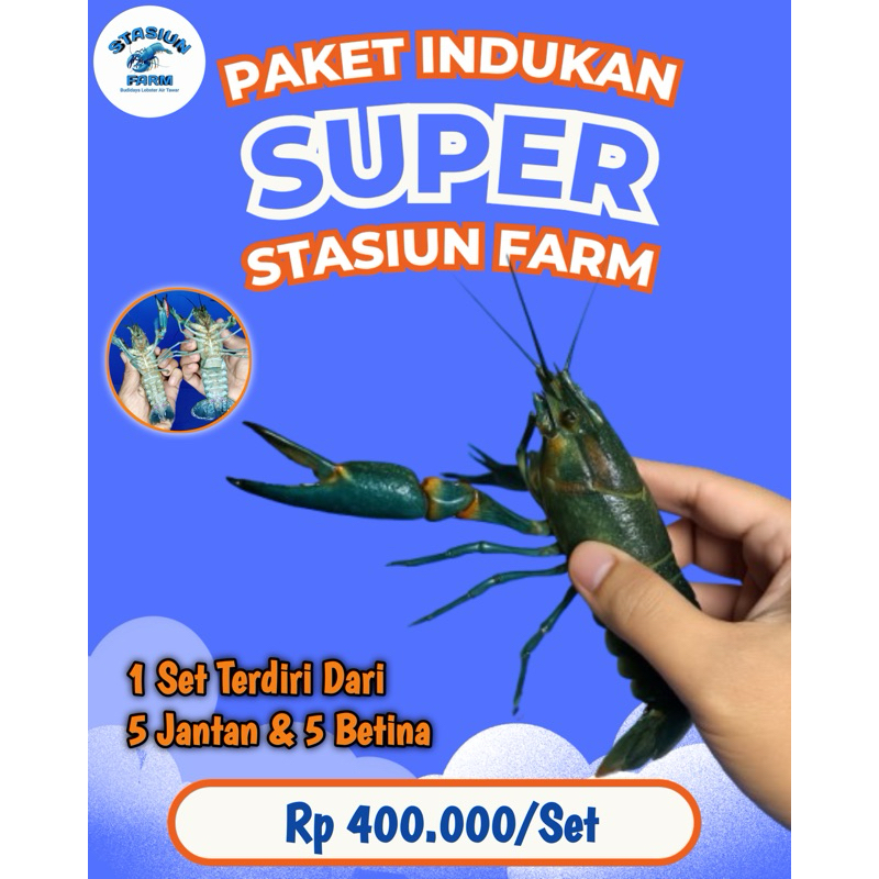 

INDUKAN SUPER LOBSTER AIR TAWAR