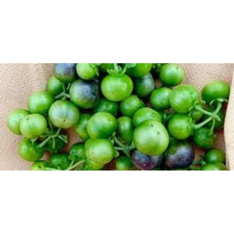 

BUAH LEUNCA Rp 3.000 / 250 gr