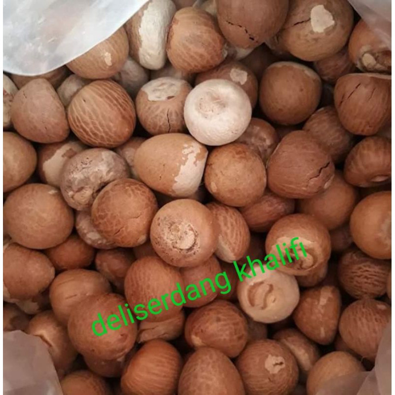 

Pinang kering bulat 1kg