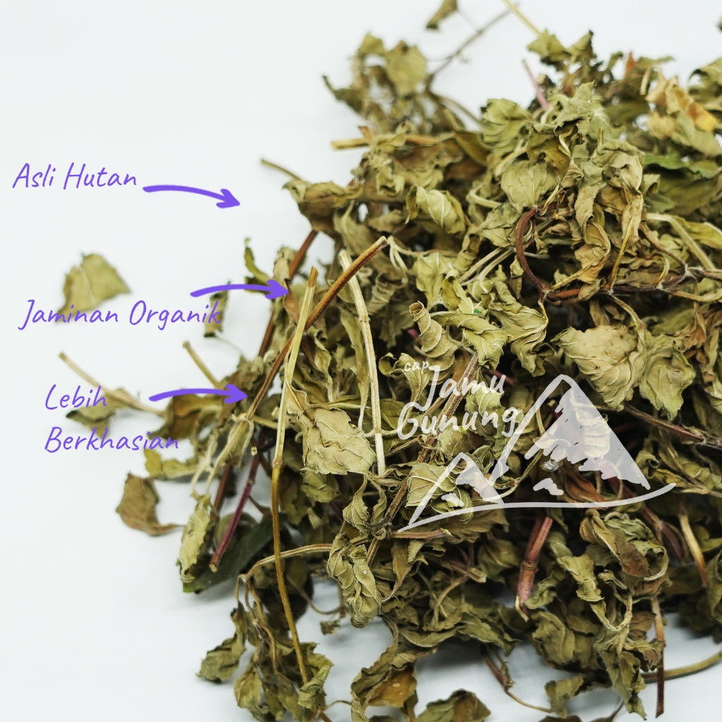 

Daun Stevia Kering 500gr Asli Kebun Grade A Organik