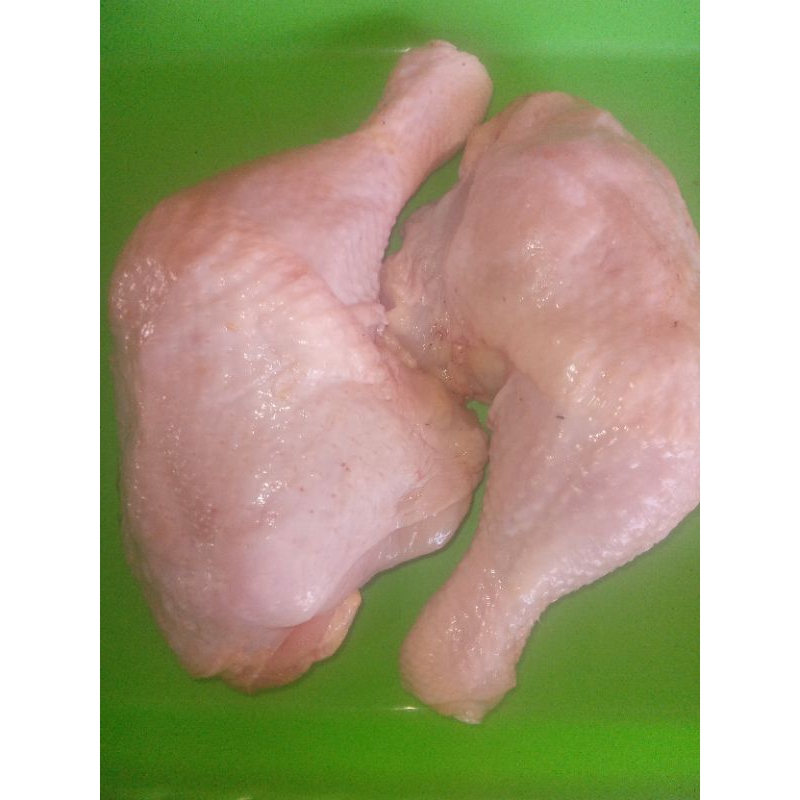 

paha ayam segar