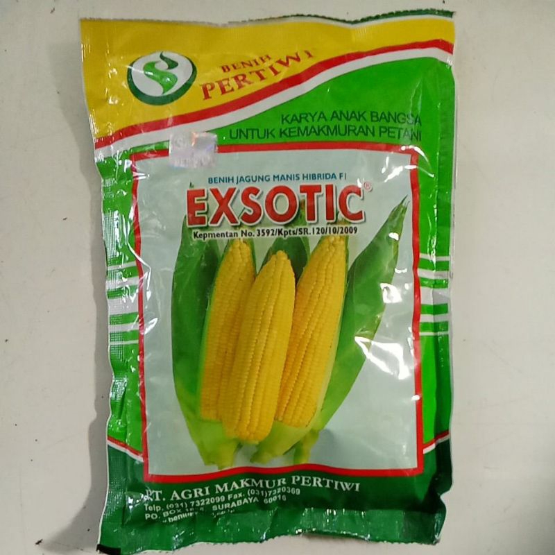 JAGUNG MANIS EXSOTIC