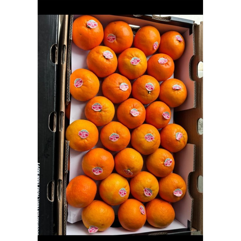 

Ready Buah Murah Jeruk Wogan GoodFarmer