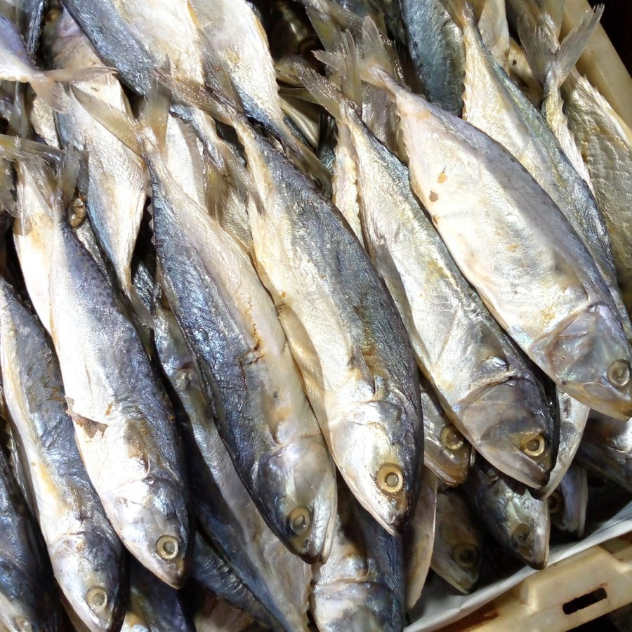 

ikan asin peda putih termurah super/bayar ditempat 1kg