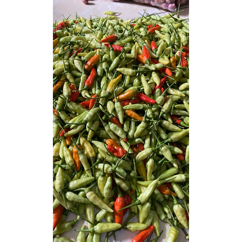

cabe rawit (500gram)