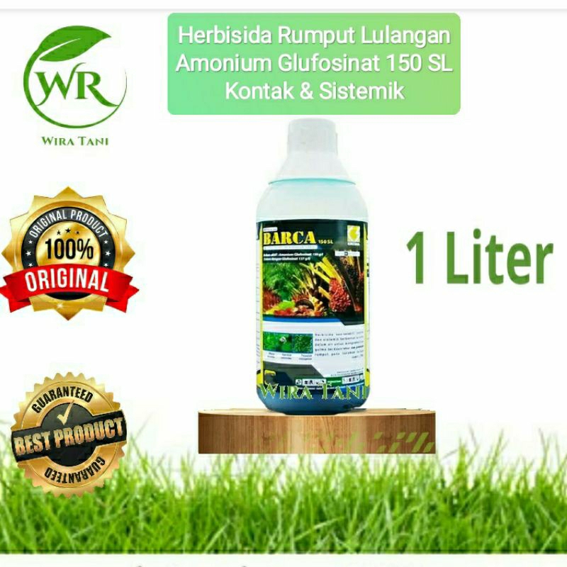 Barca 150 SL racun rumput lulangan herbisida amonium glufosinat 150 g/l
