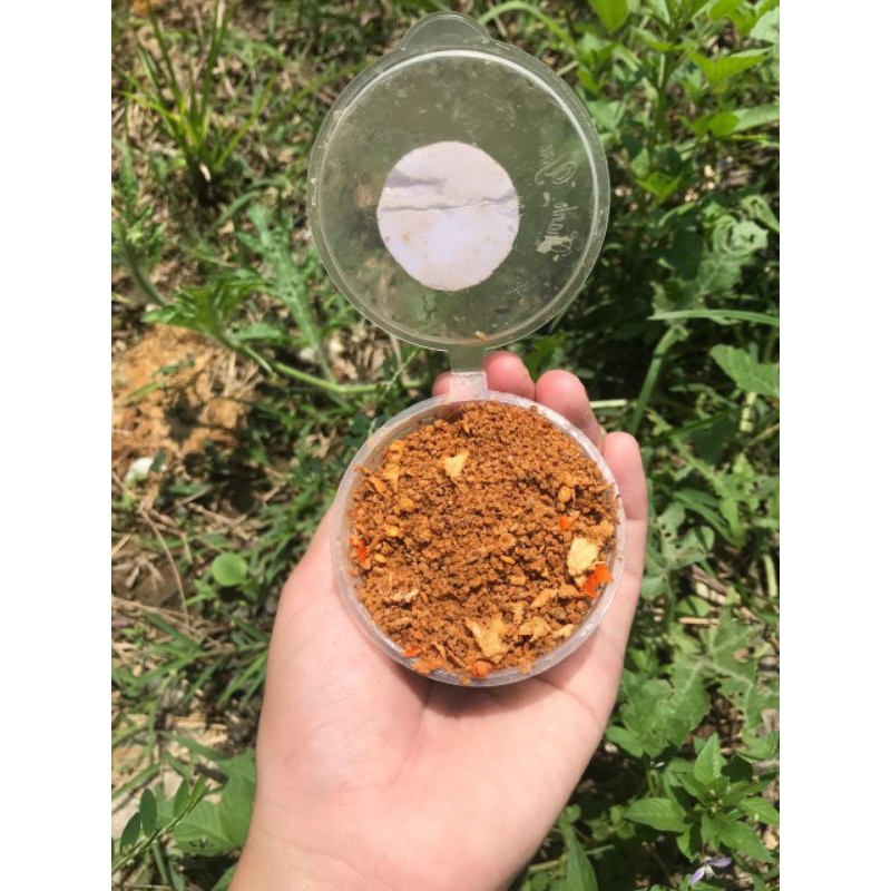 

Uyah Acan basangrai (untuk pencok)