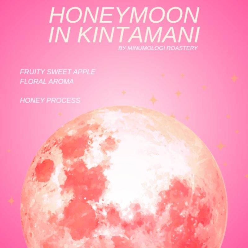 

Honeymoon in Kintamani Coffee Bean / Biji Kopi / Black Honey Process