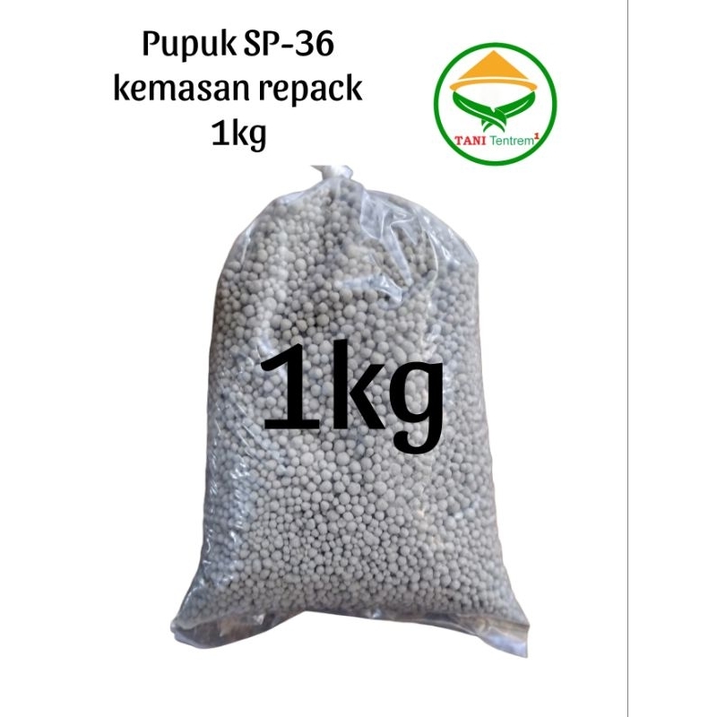 Pupuk SP-36 kemasan repack 1kg