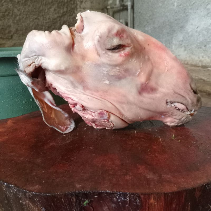 

KEPALA KAMBING MATANG