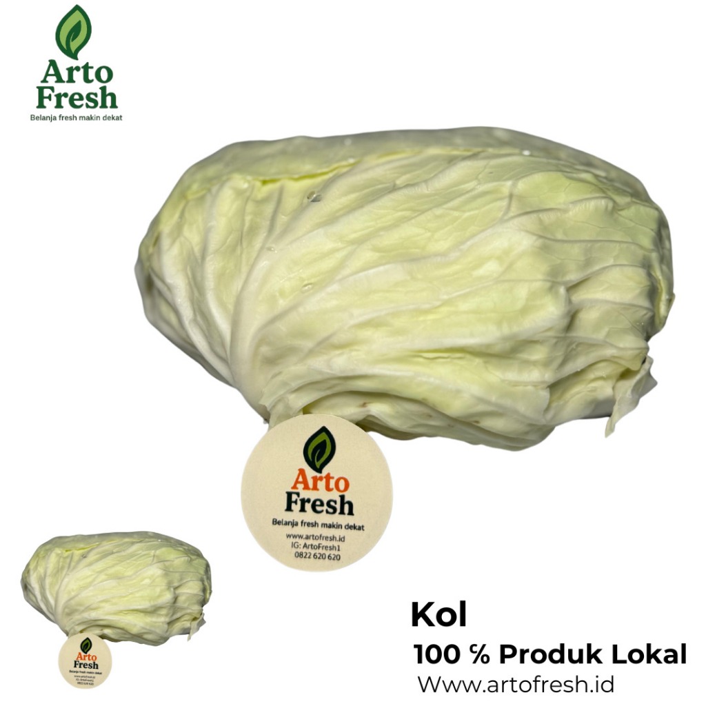 

Kol Segar Artofresh