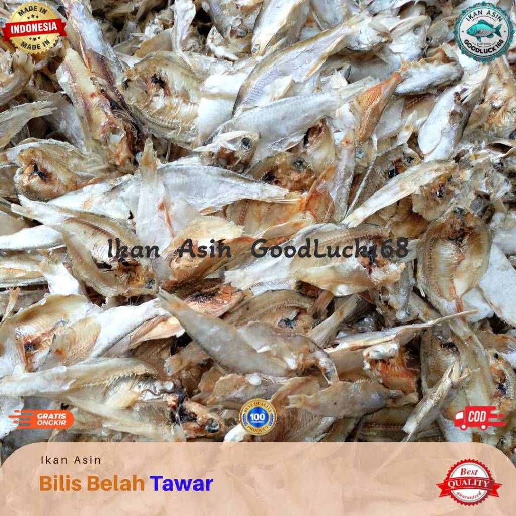 

Ikan Asin Bilis Belah Tawar Kering Kualitas Super 250gram, 500gram, 1kg
