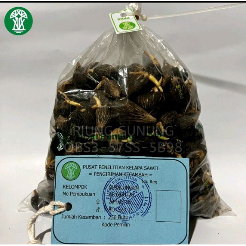 DXP SIMALUNGUN BERSERTIFIKAT