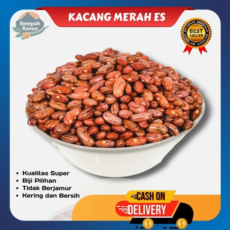 

Kacang merah ranau kering 1kg | Kacang joglo | Kacang Es | Kacang merah organik super biji pilihan | Kacang merah Brenebon batik segar