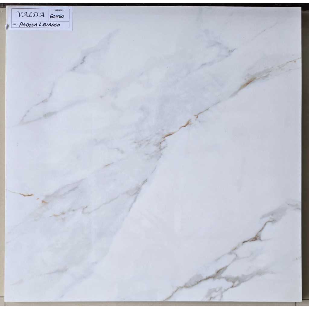 GRANIT VALDA 60 X 60 Padova Bianco