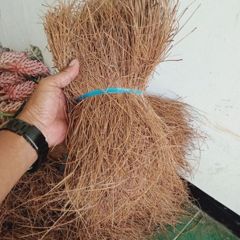 

kebun hemat-daun pinus kering 1 kg