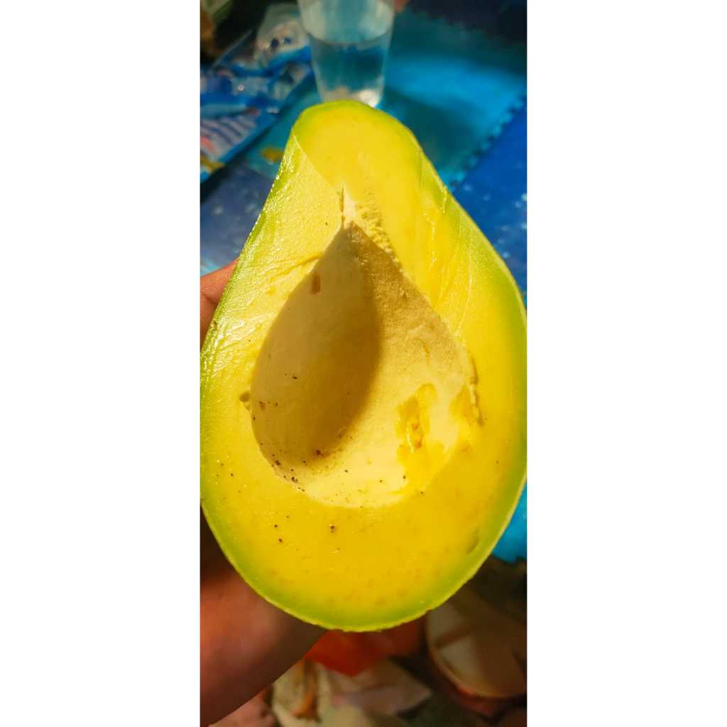 

ALUPKATMENTEGAIND - Alpukat Mentega 3kg Ready Fresh Siap Kirim
